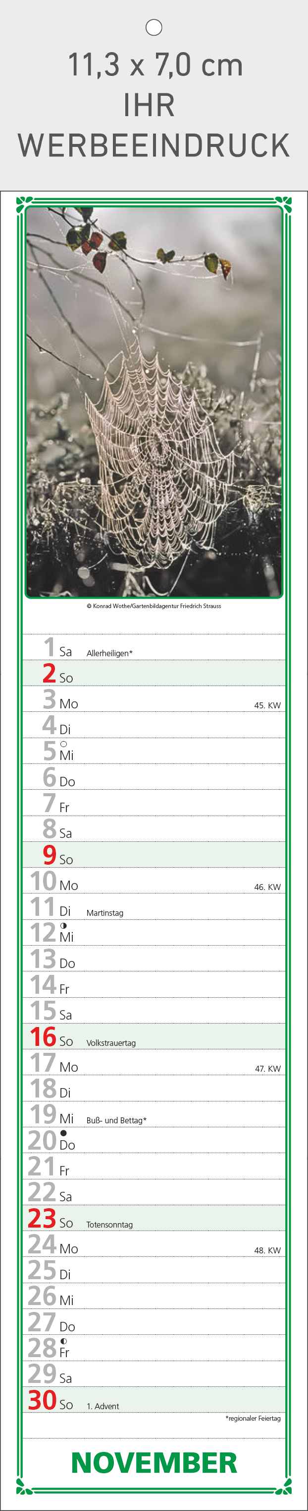 Paules Gartenplaner