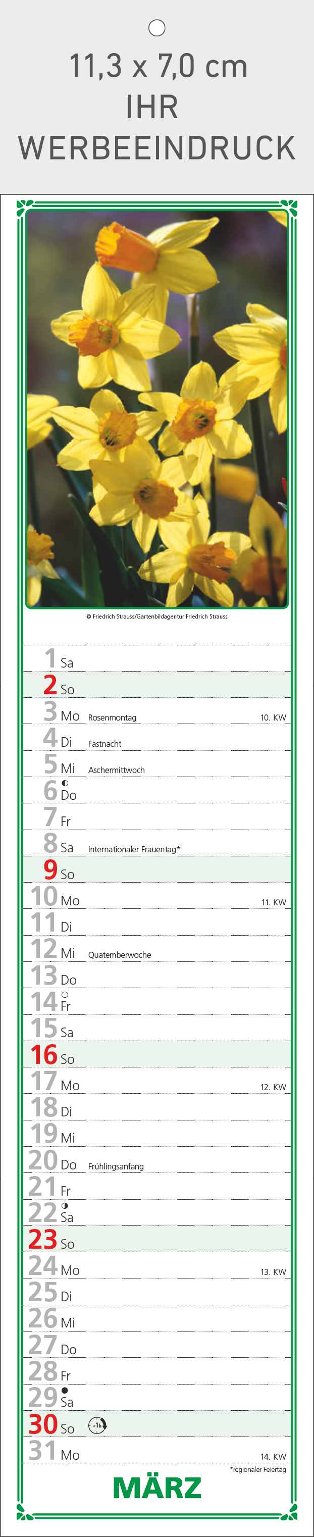 Paules Gartenplaner