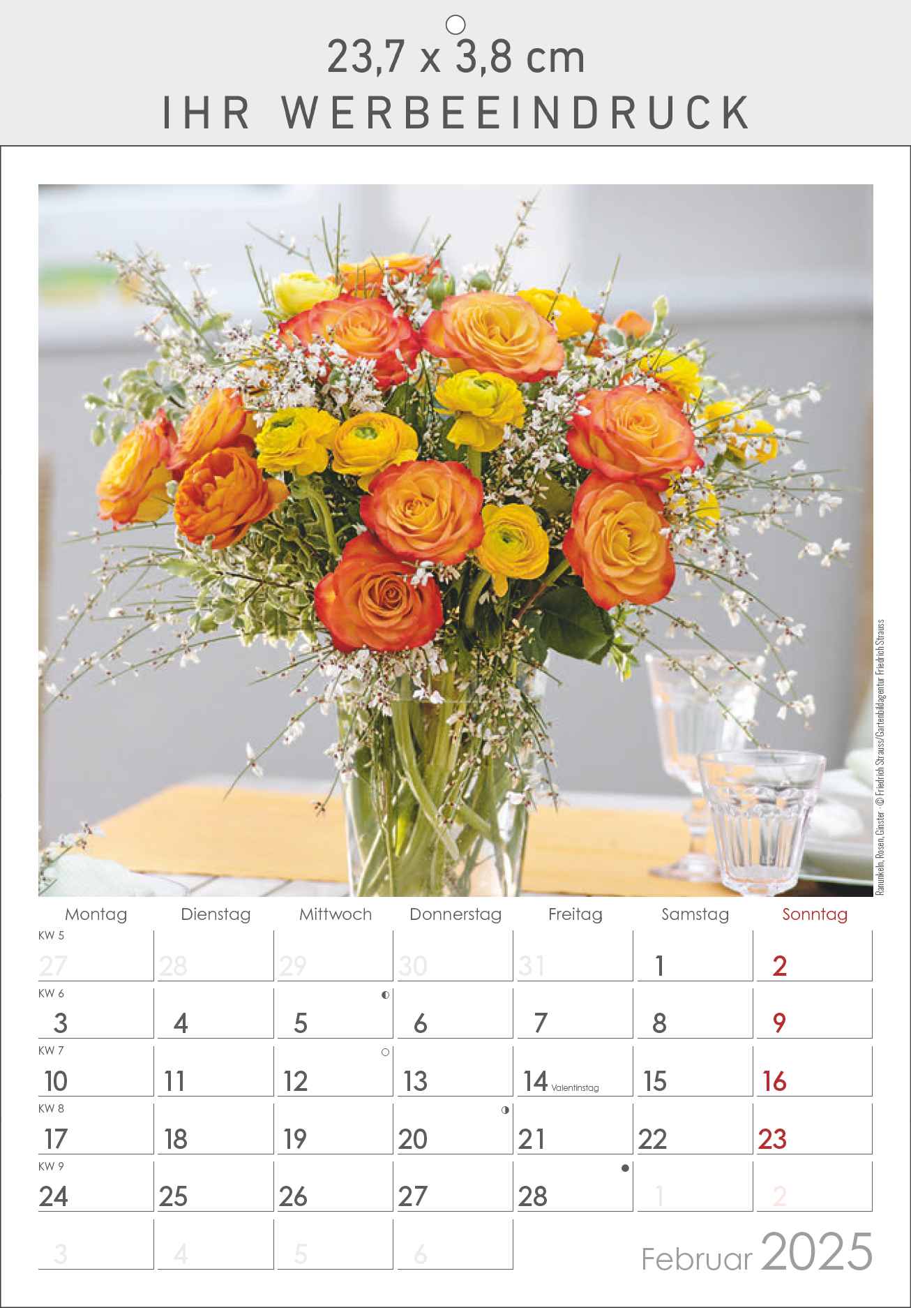 Blumen Arrangements